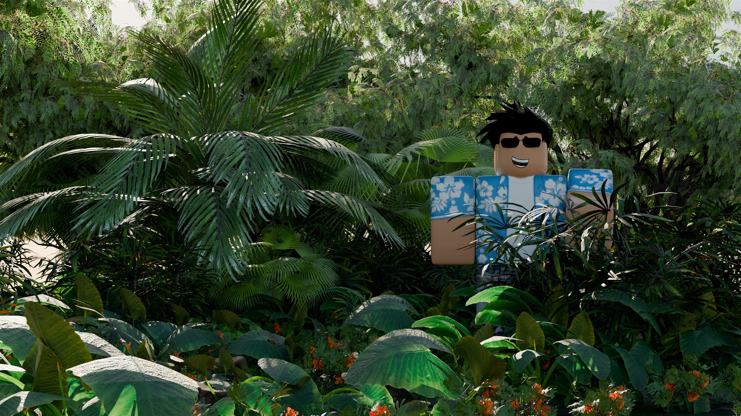 donnersc in a tropical forest