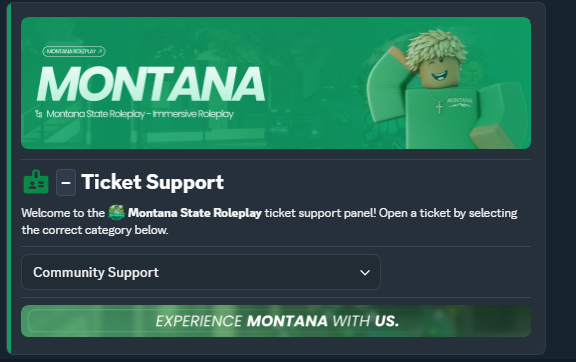Montana ticket support system